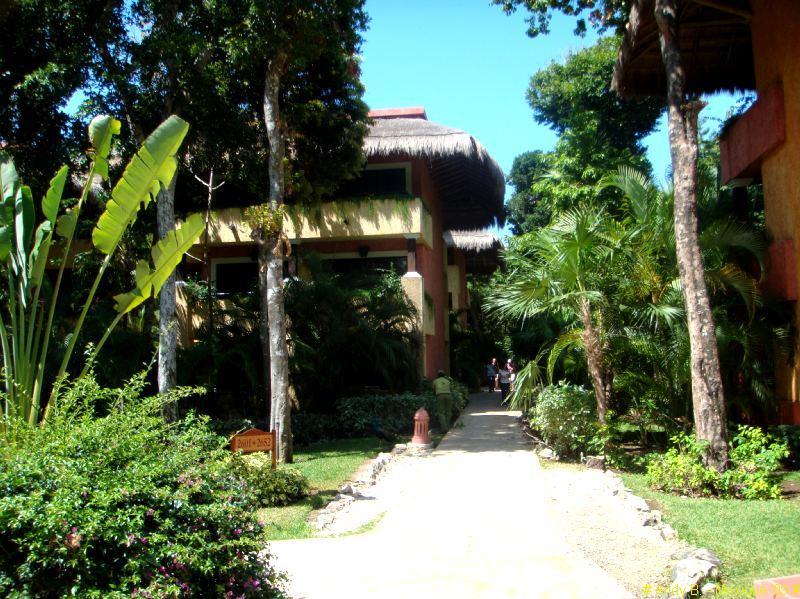 Iberostar Tucan et Quetzal (237).JPG